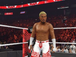 wwe 2k24 akira tozawa