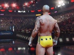 wwe 2k24 cm punk ses