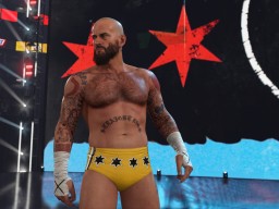 wwe 2k24 cm punk ses