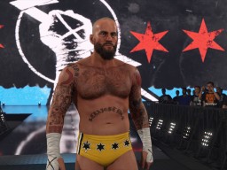 wwe 2k24 cm punk ses