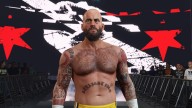 wwe 2k24 cm punk ses