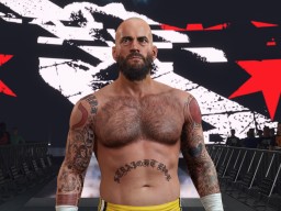 wwe 2k24 cm punk ses