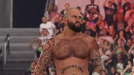 wwe 2k24 cm punk ses