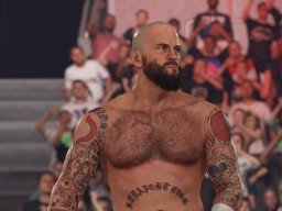 wwe 2k24 cm punk ses