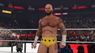 wwe 2k24 cm punk ses