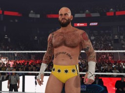 wwe 2k24 cm punk ses