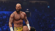 wwe 2k24 cm punk ses