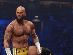 wwe 2k24 cm punk ses