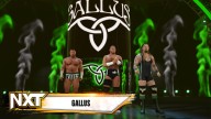 wwe 2k24 gallus