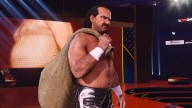 wwe 2k24 jake the snake roberts