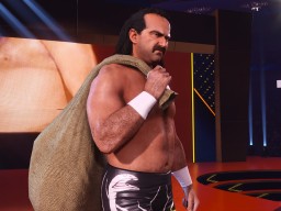 wwe 2k24 jake the snake roberts