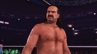 wwe 2k24 jake the snake roberts