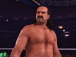 wwe 2k24 jake the snake roberts