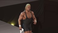 wwe 2k24 mr perfect