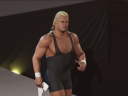 wwe 2k24 mr perfect