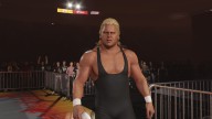 wwe 2k24 mr perfect