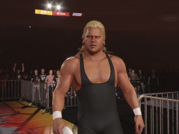 wwe 2k24 mr perfect