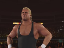 wwe 2k24 mr perfect