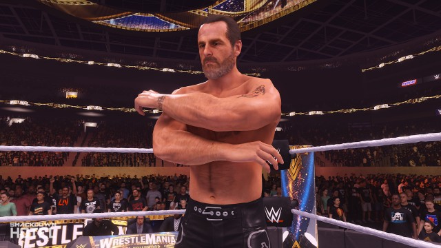 Shawn Michaels Wwe 2k24 Roster