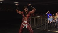 wwek24 shawn michaels 94