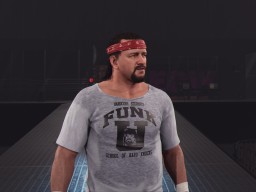 wwek24 terry funk