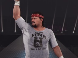 wwe 2k24 terry funk