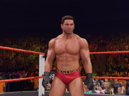 wwek25 ken shamrock