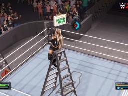 wwek25 new ladder match mini game