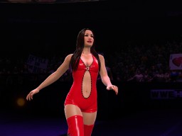 wwe 13 brie bella