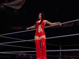 wwe 13 brie bella