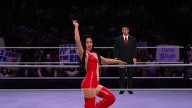 wwe 13 brie bella