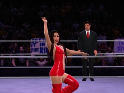 wwe 13 brie bella