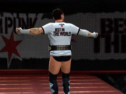 wwe 13 cm punk