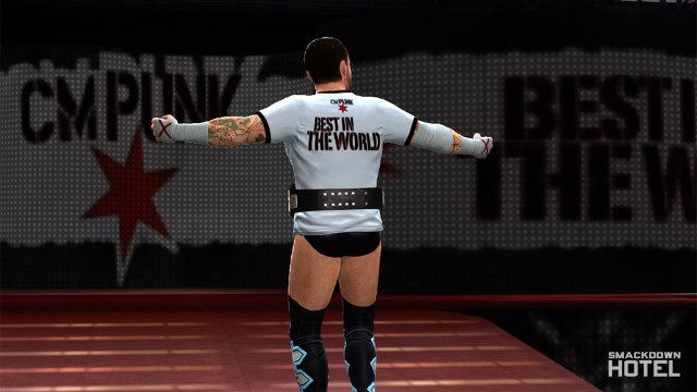 wwe 13 cm punk