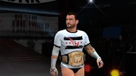 wwe 13 cm punk