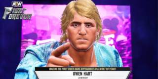 How To Unlock Owen Hart In AEW Fight Forever