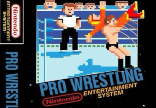 NES Pro Wrestling