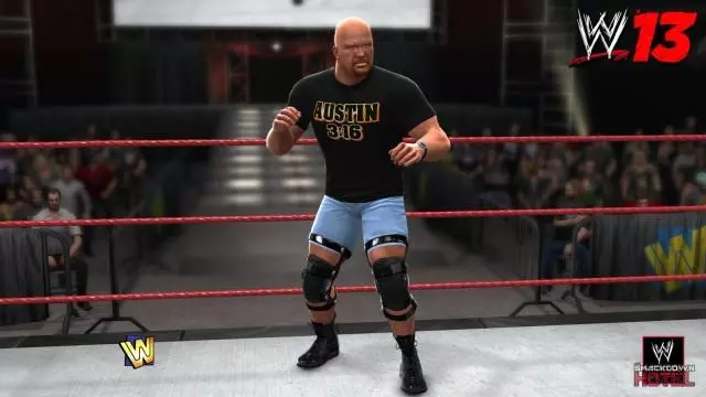 WWE13 Austin2