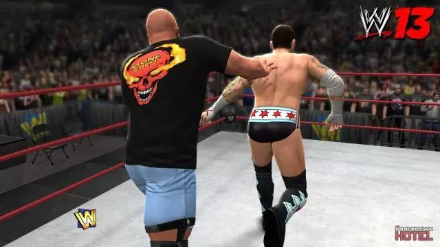 WWE13 AustinPunk