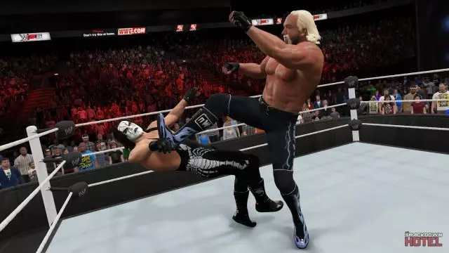 WWE2K15 PC HoganSting