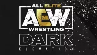 AEW Dark: Elevation Results 