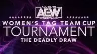 Womens tag team cup tournament the deadly draw