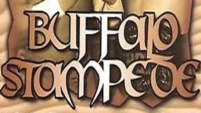 ROH Buffalo Stampede II - ROH PPV Results