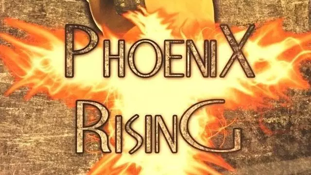 ROH Phoenix Rising - ROH PPV Results