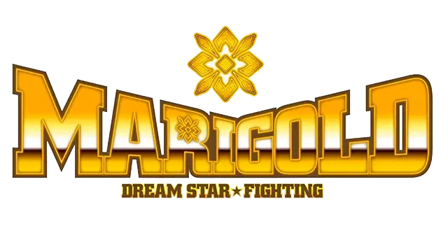 Dream Star★Fighting Marigold - Pro Wrestling Promotions