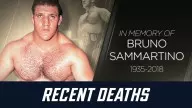 Wwe recent wrestler deaths