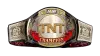 AEW TNT Championship