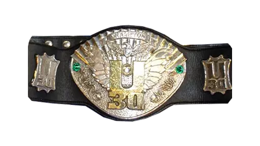 IWGP U-30 Openweight Championship - NJPW Title History