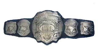 IWGP Intercontinental Championship