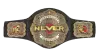 NEVER Openweight Championship